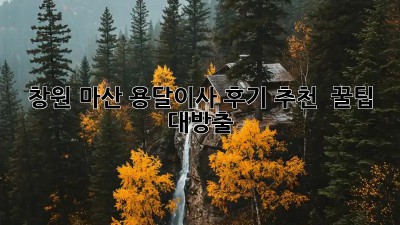 창원 마산 용달이사 후기 추천 🚚💨 꿀팁 대방출!